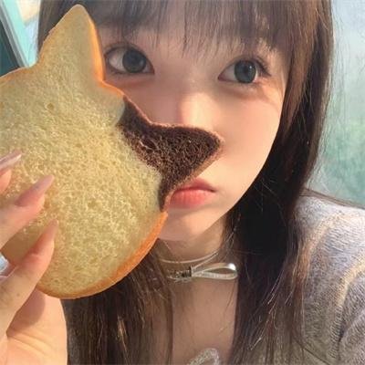 动画综艺